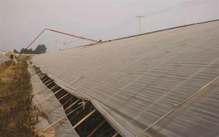 大棚的放风方法，根据天气状况控制放风口的宽度