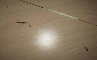 初春野钓鲫鱼的技巧，打窝时窝料首选酒米