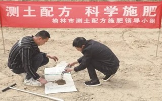 怎么进行作物测土配方施肥,可以进行田间试验