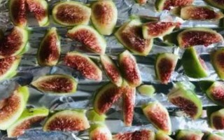 无花果会不会开花，会开出较小难以发现的花朵