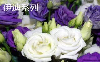 常见的洋桔梗品种介绍,品种众多各具特色