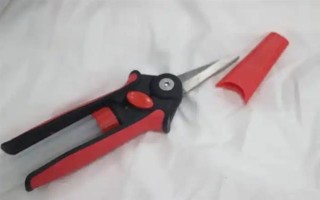 油桃树的剪枝方法，生长发育的前期以造型修剪为主