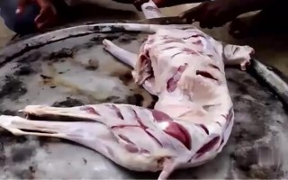 多大年龄的老人可以过重阳节,适合60岁以上的老人