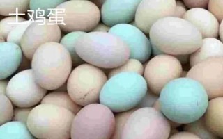 如何鉴别土鸡蛋和洋鸡蛋，个头、颜色等均不同