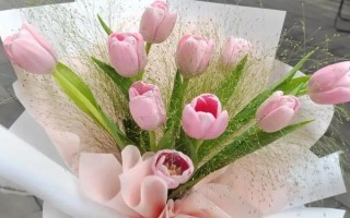 郁金香的花语，寓意高雅、富贵、忠贞的爱等