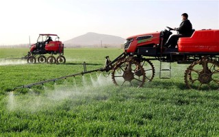 农作物根外施肥技术，根据气候条件选择喷肥时间