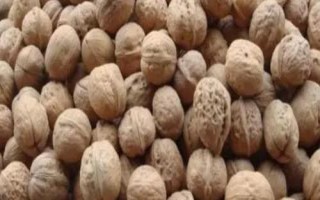 河南三门峡市的特产,三门峡核桃名气大