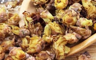 蜡梅的开花时间,11月中旬到第二年3月开花