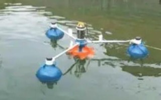 养殖鳜鱼的条件,池塘水源要充足、干净、温度适宜