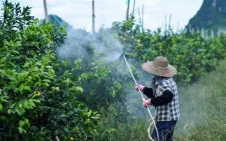 毒死蜱能杀死蚧壳虫吗，效果不是非常好