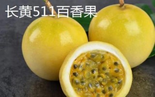 百香果品种有哪些，在国内种植比较多