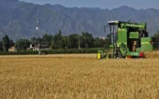 夏收秋种是什么时候,夏收是芒种和夏至前后