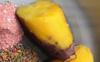 钓草鱼的方法，主要摄食浮游动物