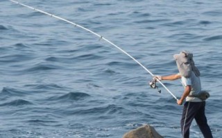 鳡鱼怎么钓，5-10月是钓鳡鱼的最佳时节