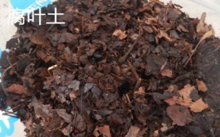 家庭盆栽种花选择什么土壤,腐殖土、园土和沙土都可以