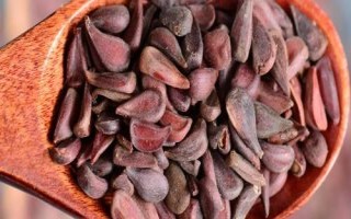 木瓜种子能不能吃,籽是天然的能吃