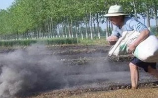 草木灰可以当作肥料使用吗，属于良好的有机肥