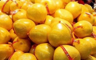 柚子是什么季节的水果，属于秋季水果