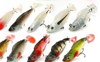 钓黑鱼用假饵好还是真饵好,新手建议尽量用真饵