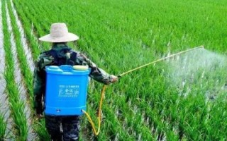 硒对农作物有增产的效果吗，可以施用适当的硒来增加产量