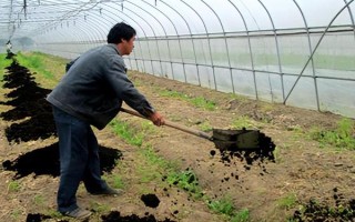 菜地土壤板结应该怎么改良,可采取增施有机肥、松土、掺沙这3种方式