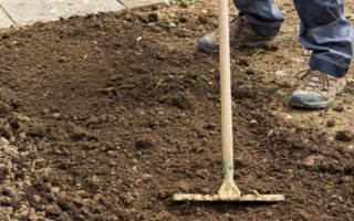 茄子病害及防治方法，常见的病害有猝倒病、褐纹病等