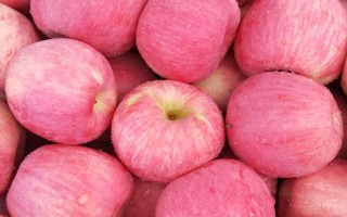 苹果的种植前景，收益可观但市场饱和度高可能会供大于求