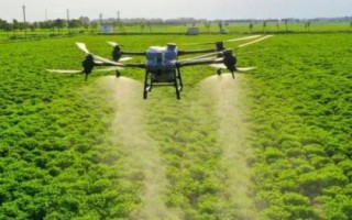 地下害虫防治方法，包括药剂拌种、毒土撒施、毒饵诱杀等