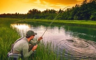 深秋能钓鲢鳙吗，可以垂钓但要注意使用合适的饵料