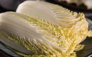 娃娃菜一亩能产多少斤，亩产量在12000-24000斤