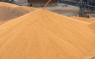 种子标签应包括的内容，质量指标应包括品种纯度