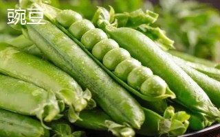 蚕豆和豌豆有何不同，外观、产地、花果期均有区别