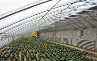 大棚内遮阳和外遮阳的区别，前者在棚内安装遮阳系统、后者直接把阳光阻挡在棚外