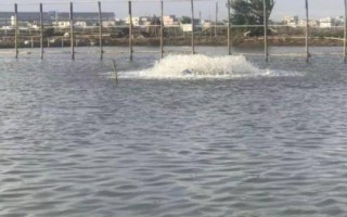 夏季水产养殖如何管理，施肥要少许多次