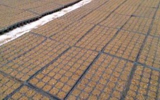 育苗基质50升是多少斤，重量约为5-8kg左右