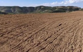 青稞怎么种植，选择良种后可开沟播种