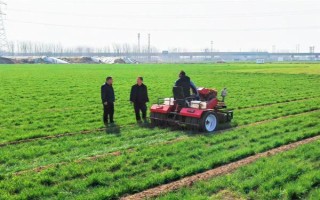 冬小麦怎么管理，每次降雨或浇水后都要中耕保墒