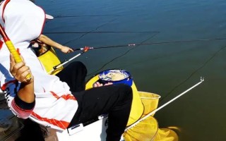 台钓鲫鱼子线要多长，根据鱼情、季节、钓法等决定