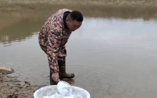 春季养鱼怎么管理鱼塘,放苗前要晒塘消毒
