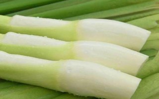 茭白冬天能种植吗，冬天是可以种植的
