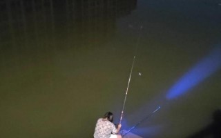 冬天夜钓鲤鱼怎么选钓点，最好根据水域来选择