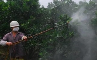 果树如何使用多效唑，分为土施法、叶喷法、涂干法等