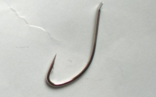 冬天钓甲鱼的最佳饵料，首选腥味浓重的荤饵