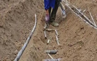 甘蔗如何种植,要做到适时施肥、适量施肥