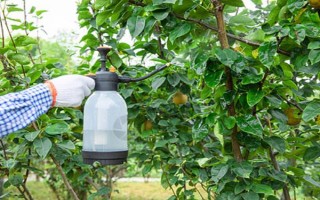 矿物油农药的使用方法，针对不同作物的使用方法不同