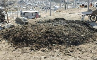 农家肥与化肥混用的好处,可以使养分供应更持久