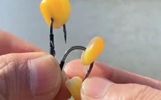 玉米能钓什么鱼，嫩玉米粒适合钓大物鱼