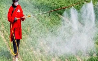 冬季打农药要注意什么，在晴天高温时段用药效果更好