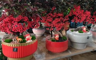 金玉满堂的寓意，寓意吉祥富贵、家丁兴旺等