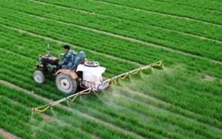 如何正确使用磷肥,以下7个技巧需掌握